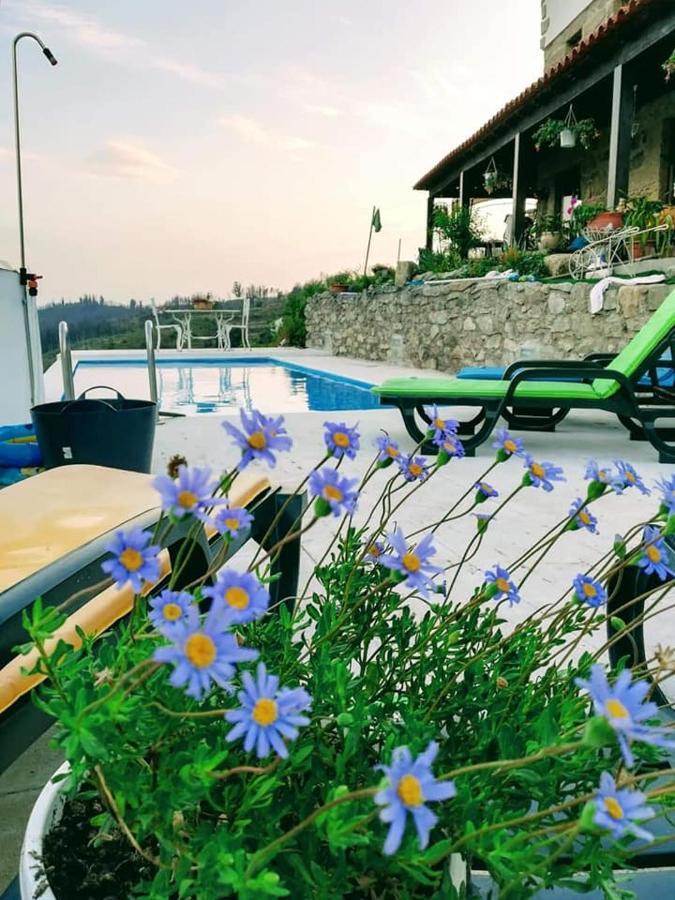 Quinta Do Cavaleiro Ao Sol - Um Lugar Ao Sol Pension Catraia de Sao Paio Buitenkant foto